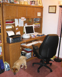 Susan Frank Desk Large